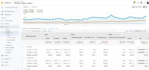 Google Analytics - Redesign Dudlu
